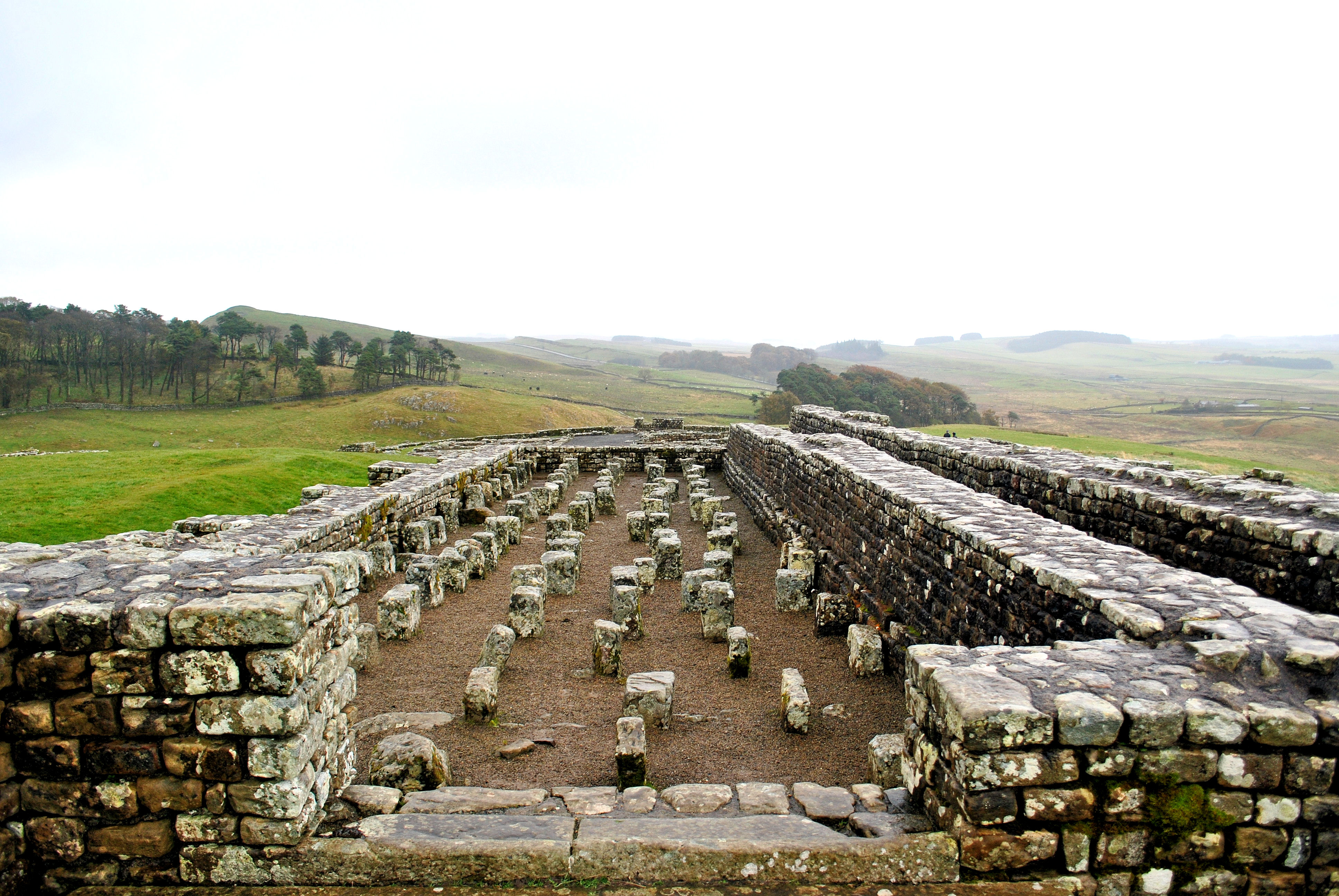 Policies - Archaeological Institute of America